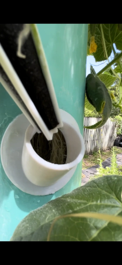 hydroponic adater a 4 inch pvc pipe - 3d by hmmnddnny on thangs 3d print model - Mito3D