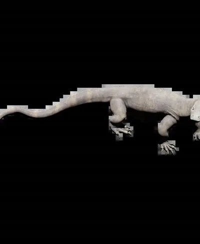 dragon komodo 3d by bloquer tête 3d print model - Mito3D