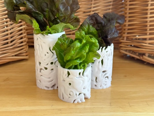 kopfsalat zylinder vase 3d by davemakesstuff on danke blume container generativ kunst prozedural textur topologie organisch kontur grüner salat 3d print model - Mito3D