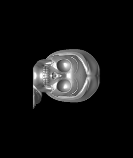lady skull 2 designer 3d print model - Mito3D