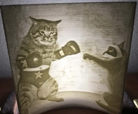 lithophane of a cat fighting racoon - 3d by briangrossmiller on thangs 3d print model - Mito3D