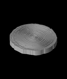 log sottobicchiere anno misura dell 39 anello casa giardino 3d print model - Mito3D