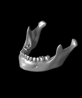 loose teeth davemakesstuff Hobbies & Games 3d print model - Mito3D