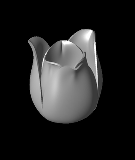 magnetic tulip 3d model alessandroame thangs 3d print model - Mito3D