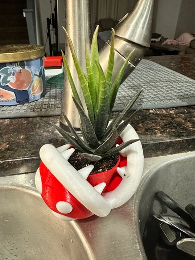 mario piranha succulent or plante pot 3d by thelightspd 3d print model - Mito3D