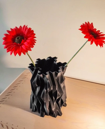 angelegenheit negra vase 3d by falterra on danke 3d print model - Mito3D