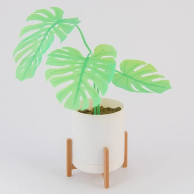 mini monstera ekici 3d by teşekkürler bitki bitkiler minyatür monsteras tencere modern mid century orta yüzyıl klasik tasarım sanat sulu küçük 3d print model - Mito3D