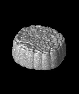 mooncake generated revopoint pop 3d model thangs 3d print model - Mito3D