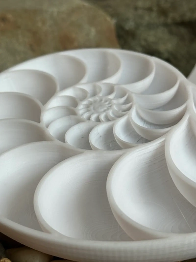 nautilus shell cross - 3d by davemakesstuff on thangs sea ocean nautical seashell seashells marine life biology math art logarithmic spiral 3d print model - Mito3D