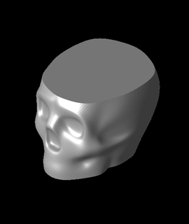 nora vasemode cranio 3d modello namu3d grazie 3d print model - Mito3D