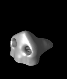 nariz pasta dental 3d modelo tomodesigns gracias 3d print model - Mito3D
