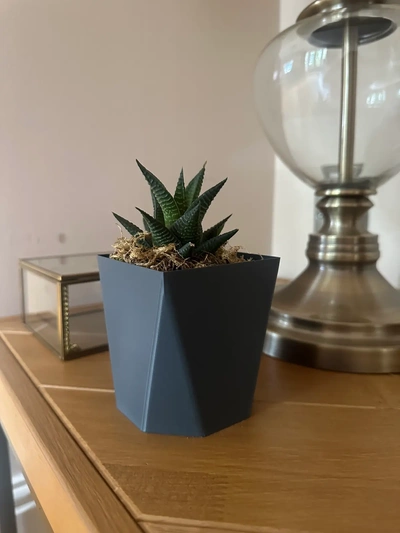 octagon vase mode pot planter - 3d by theethetree on thangs 3d print model - Mito3D