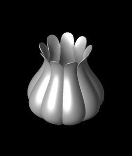 biologique organisateurs Ail vase 3d print model - Mito3D