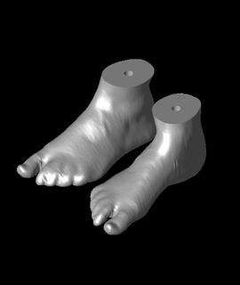 pc caso funda pies humano pie 3d modelo gracias 3d print model - Mito3D