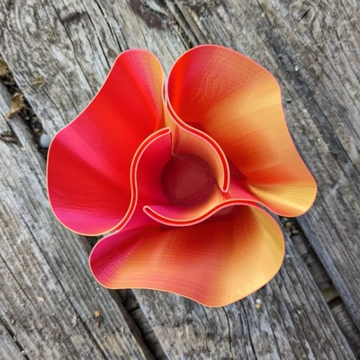 pen holder-three petals twist - 3d by nalrod on thangs 3d print model - Mito3D