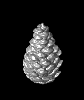 pine cone earrings knickers 3d print model - Mito3D
