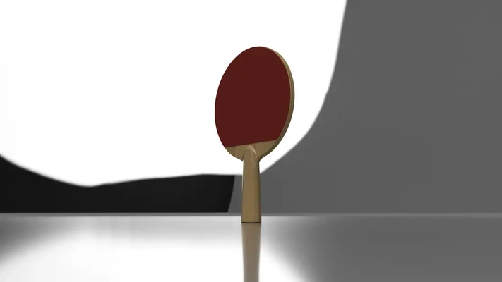 ping pong pagayer modèle rend 3d by silasclough 3d print model - Mito3D