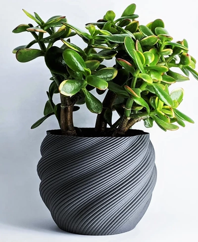 pianta pentola moderno diluviano succulento fioriere to grande pentole 3d by factoriandesigns on grazie 3d print model - Mito3D