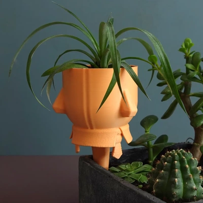 planter extra - 3d by gazzaladra on thangs 3d print model - Mito3D