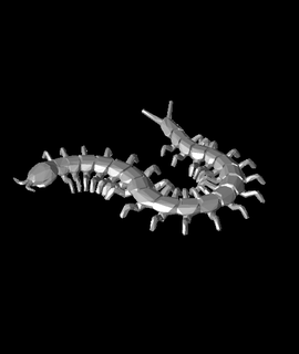 poly centipede rnost zek Animals 3d print model - Mito3D