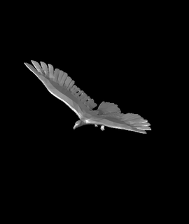 poly eagle rnost zek 3d print model - Mito3D