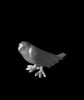 poly parrot rnost zek Animals 3d print model - Mito3D