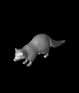 poly raccoon rnost zek Animals 3d print model - Mito3D