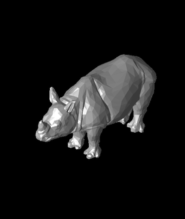 poly rhino rnost zek Animals 3d print model - Mito3D