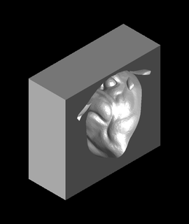pug head block illusion mrdc04 3d print model - Mito3D