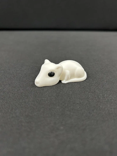 ratto 3d by costruito bot on grazie 3d print model - Mito3D