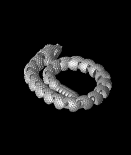 serpente sonagli kaylee2011 animali 3d print model - Mito3D