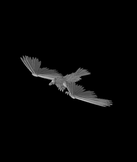 cuervo halcón 3d modelo rayquaza gracias 3d print model - Mito3D