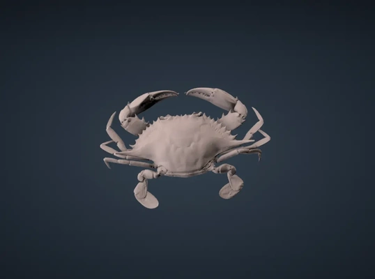 réaliste bleu crabe 3d by thangs3d ventilateur 3d print model - Mito3D