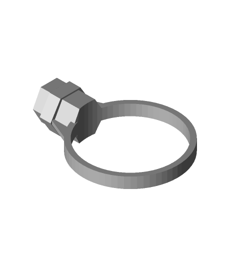 ring bit holder radiusmcfly 3D print model - Mito3D