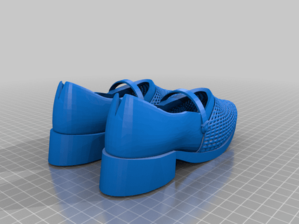 caucho Zapatos scoopypez 3d print model - Mito3D