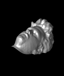scanned head american indian 3d print model - Mito3D