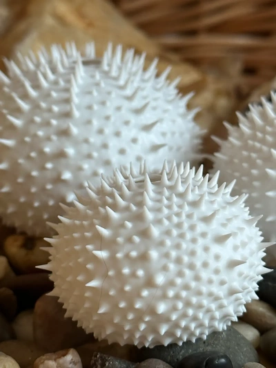 sea urchin shells spiky - 3d by davemakesstuff on thangs 3d print model - Mito3D