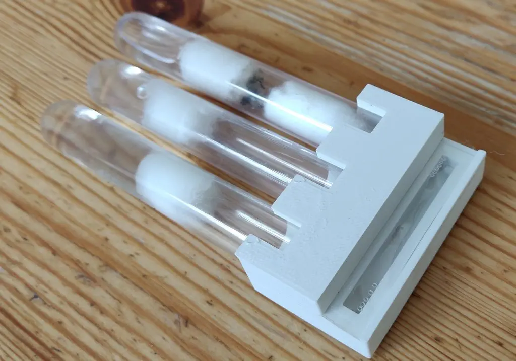 simple ant test tube portal - 3d by wauter on thangs 3D print model - Mito3D