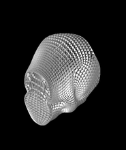 cranio art 10000 stl file cnc 3d modello grazie 3d print model - Mito3D