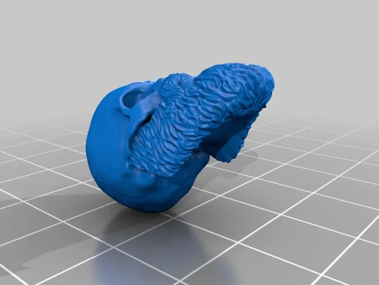 cranio barba aggiornato 3d by bowie on grazie 3d print model - Mito3D