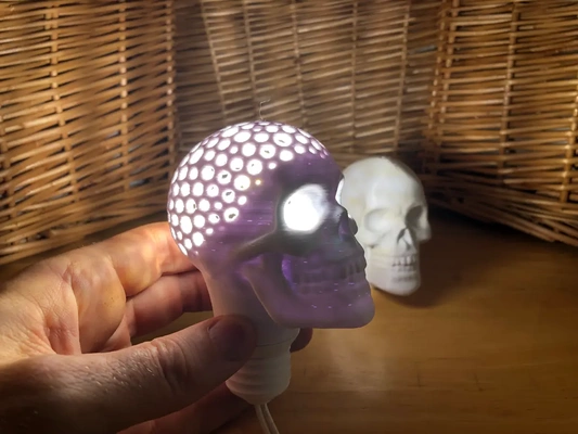 skull bulb voronoi - 3d by davemakesstuff on thangs home & garden furnishings lamps lighting bone bones skeleton light led decor halloween prop decoration 3d print model - Mito3D