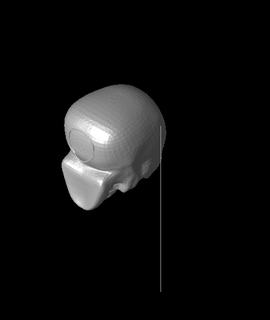 skull cup blazeessence 3d print model - Mito3D