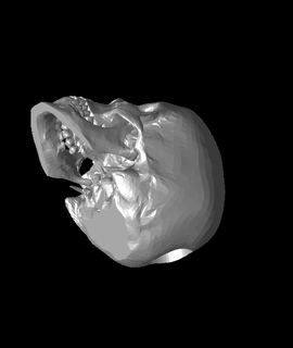 cranio dado Torre gowe01 3d print model - Mito3D