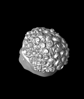cranio occhi fioristl arcwest 3d print model - Mito3D