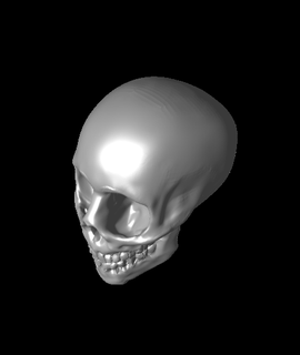 crâne Jeu anatomiquement inexacte 3d modèle 3d print model - Mito3D