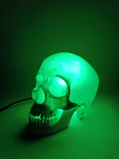 skull lamp - 3d by ri0m0 on thangs head eye home & garden furnishings lamps lighting bone jaw 3d print model - Mito3D