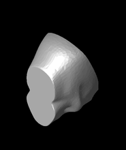 cráneo magnético almacenamiento caja 3d modelo gracias 3d print model - Mito3D