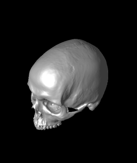 cranio mandibola 3d modello ameerawwad grazie 3d print model - Mito3D