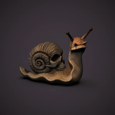crâne escargot 3d by chelscct chelseycreatesthings 3d print model - Mito3D