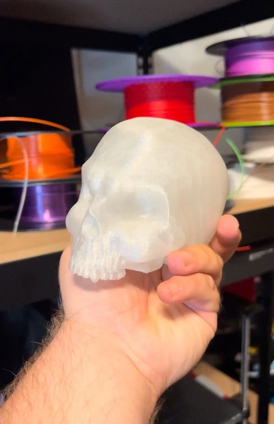 piccolo zannuto cranio 3d by gnomo brizzolato on grazie 3d print model - Mito3D